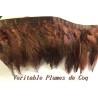 Rubans en plume de coq Marron : une touche naturelle et unique. Accessoires faits main pour sublimer vos créations