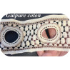 Guipure coton ajourée écrue et beige – Largeur 9 cm – Dentelle brodée pour couture & décoration